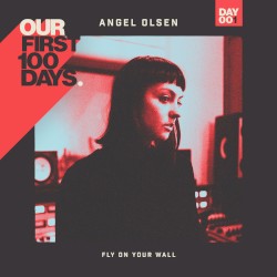 Fly on Your Wall