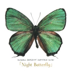 Night Butterfly