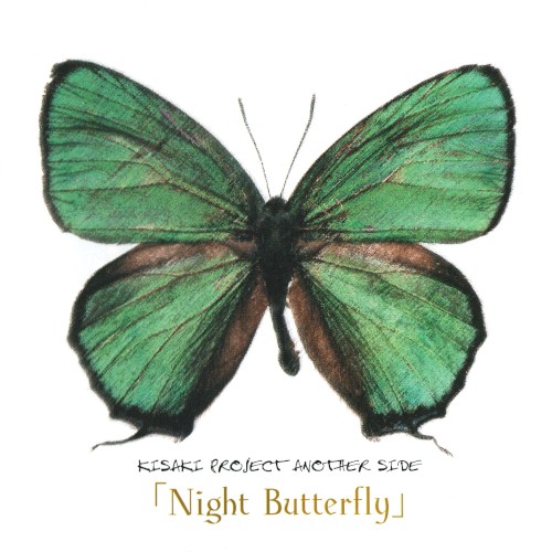 Night Butterfly
