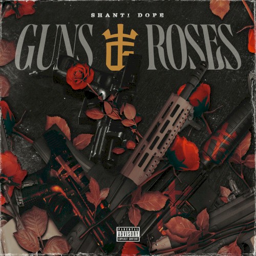 Guns and Roses
