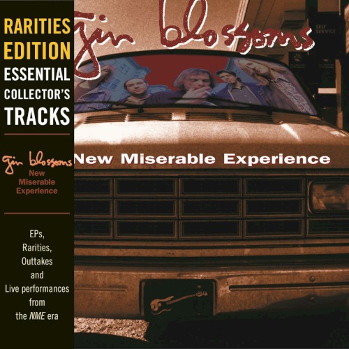 New Miserable Experience: Rarities Edition