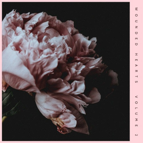Wounded Hearts Vol. 2