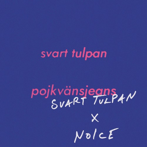 Pojkvänsjeans (Svart Tulpan x NoIcE)