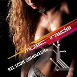 Silicon Sandwich