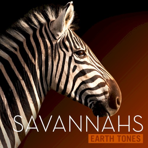 Savannahs