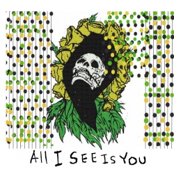 All I See Is You
