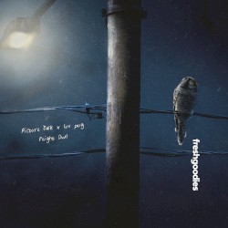 Night Owl