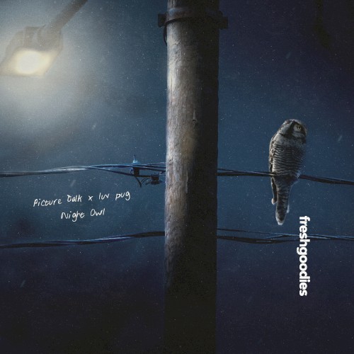 Night Owl