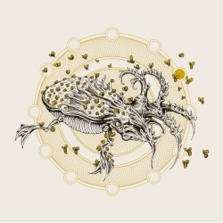 Dephosphorus / Great Falls