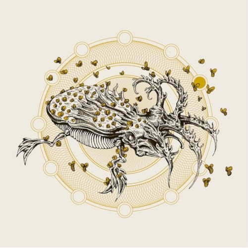 Dephosphorus / Great Falls