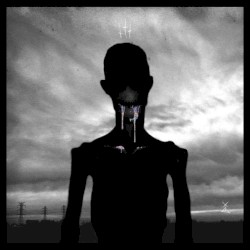 ENV017 - SECTRA
