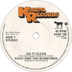 Do It Clean
