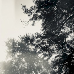 Ruins / Two Naturals