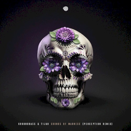 Sounds of Madness (Perception remix)