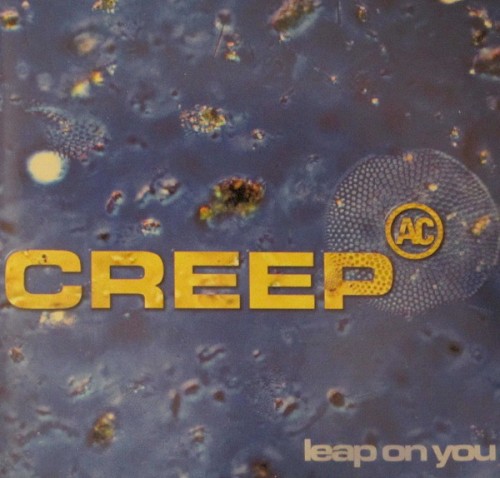Leap On You