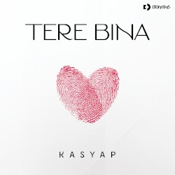 Tere Bina