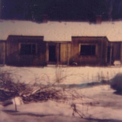 Laulu laakson kukasta