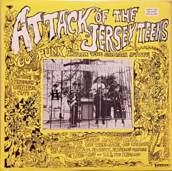 Attack of the Jersey Teens