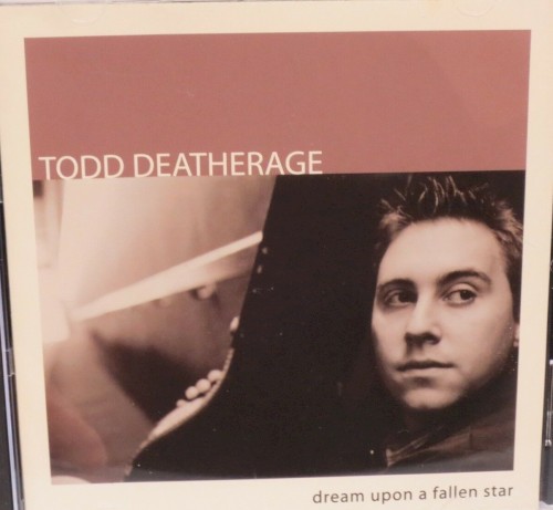 Dream Upon a Fallen Star
