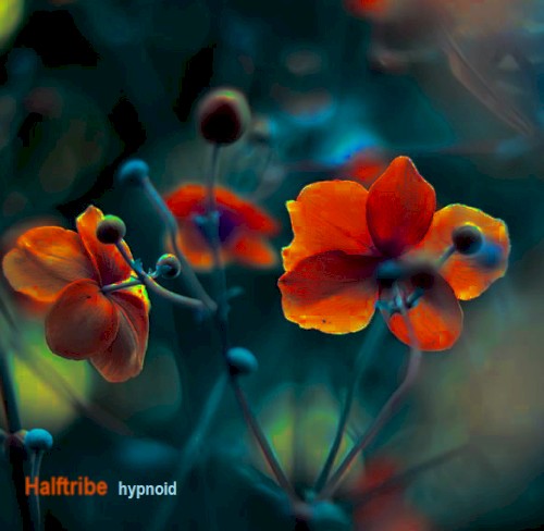 Hypnoid