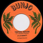 Tropical Horizon / Camp David