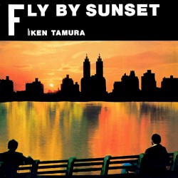 FLY BY SUNSET