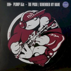 The Push / Remember My Name