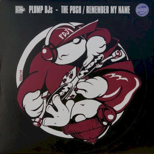 The Push / Remember My Name