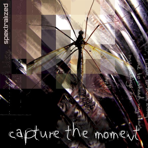 Capture the Moment