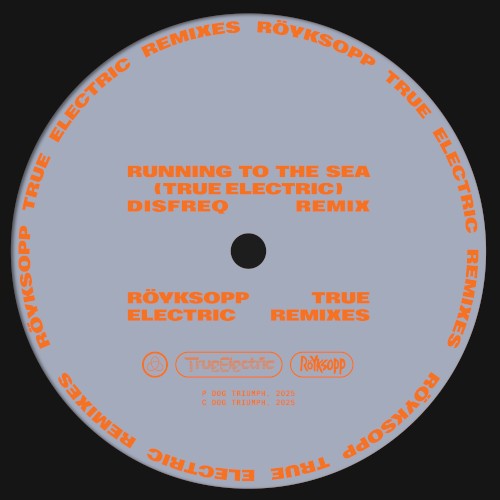 Running to the Sea (Disfreq remix)
