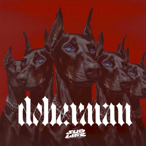 Doberman