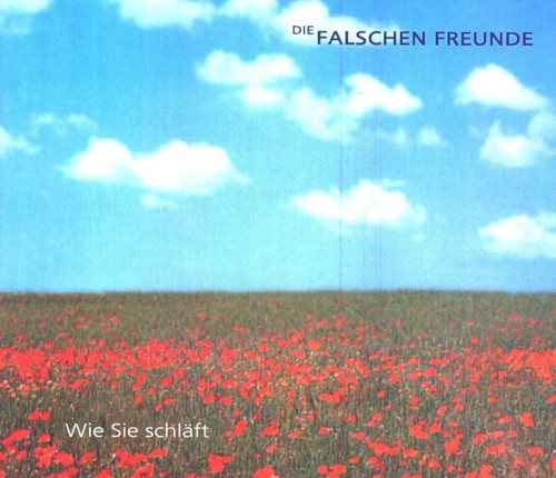 Wie Sie schläft