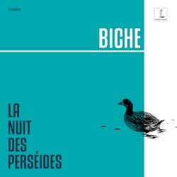 La nuit des perséides
