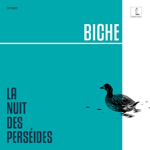 La nuit des perséides