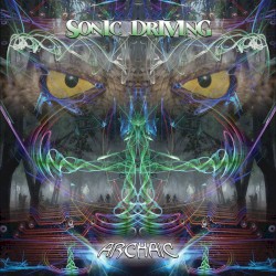 Sonic Driving
