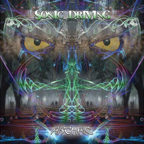 Sonic Driving