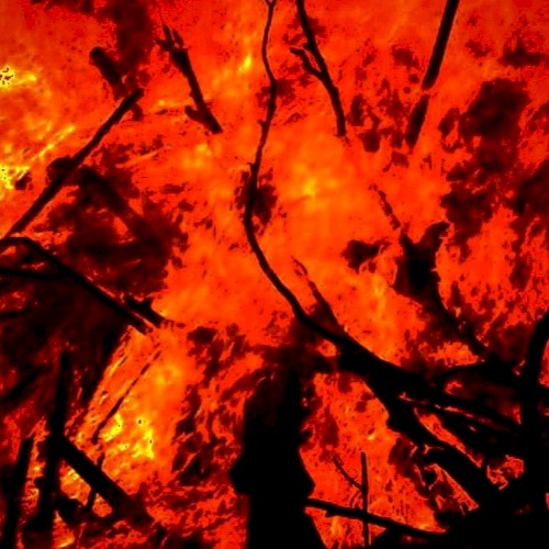 ember (0)