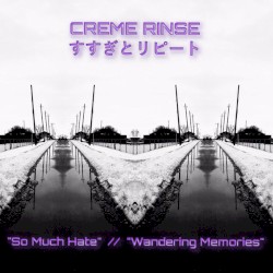 "So Much Hate" // "Wandering Memories"