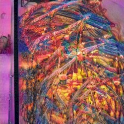 死の虹