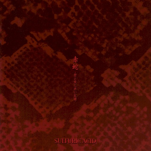 赤蛇 -君と見た赤の記憶-