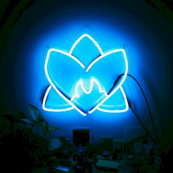 Radiating Light: Orchid Tapes & Friends