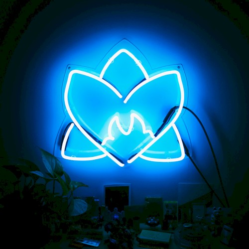 Radiating Light: Orchid Tapes & Friends