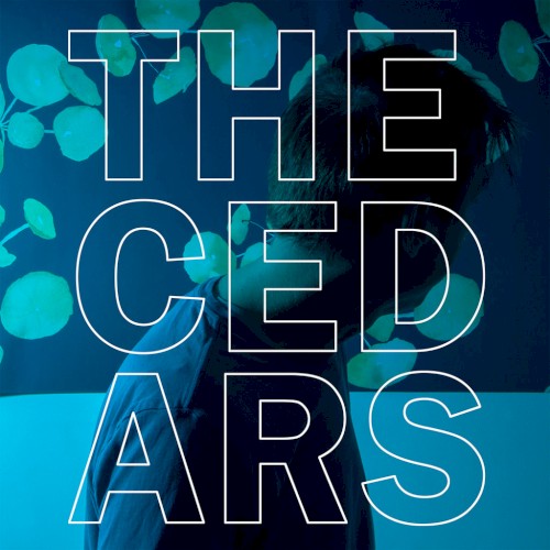 The Cedars