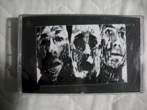 Live 1986