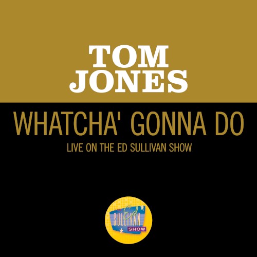 Whatcha’ Gonna Do (live on the Ed Sullivan Show, June 13, 1965)