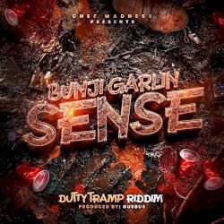Sense