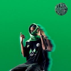 Drapeau vert