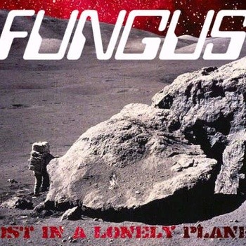 Lost in a Lonely Planet