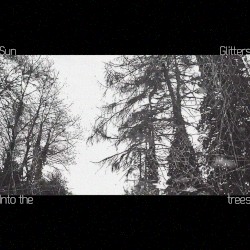 Into the trees