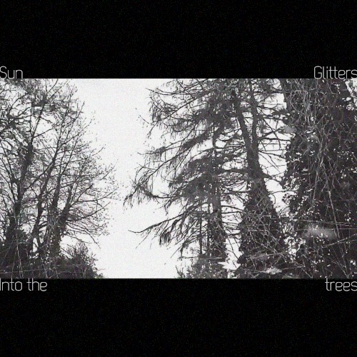 Into the trees